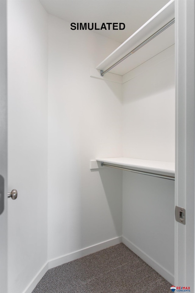 spacious closet featuring carpet flooring