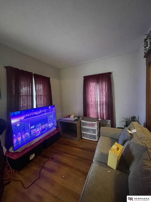 living room with wood finished floors