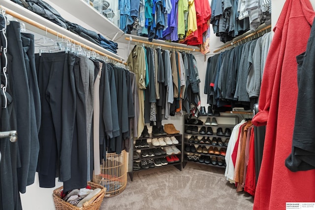 walk in closet featuring carpet floors