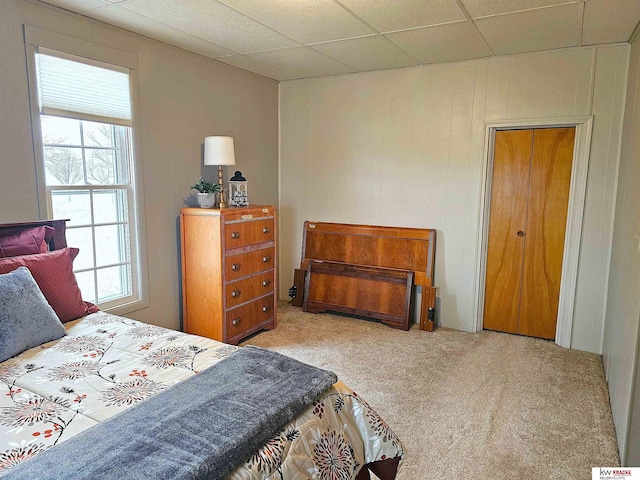 carpeted bedroom featuring a drop ceiling