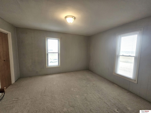 carpeted empty room featuring a wealth of natural light