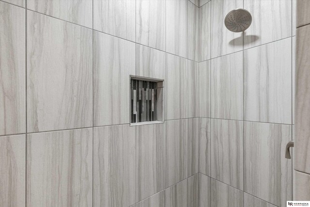 6919 Wildrye Rd, Lincoln, NE 68521 - interior details with tiled shower