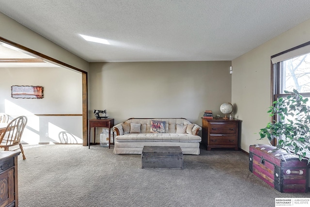 carpeted living area with a textured ceiling