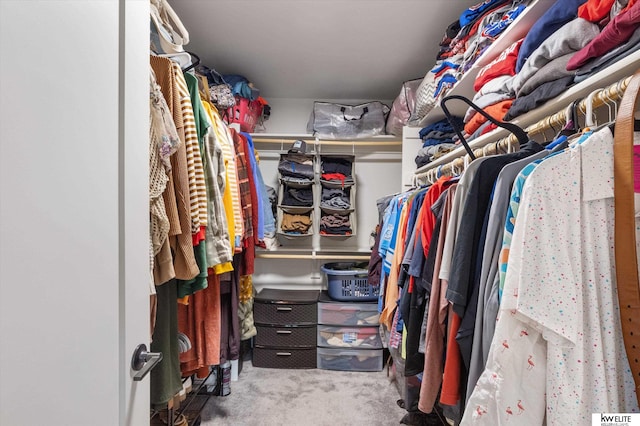 spacious closet featuring carpet flooring