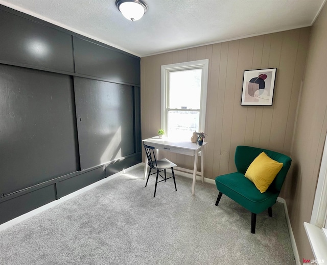 carpeted office featuring a textured ceiling