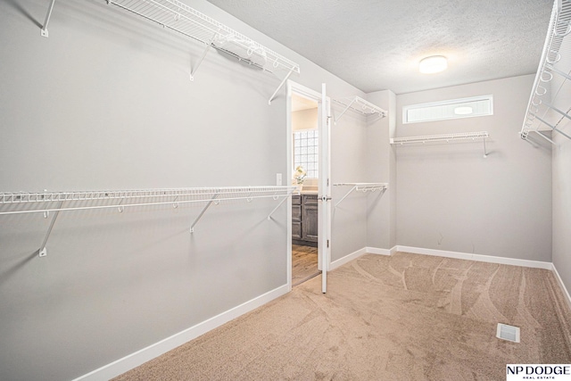 spacious closet featuring carpet