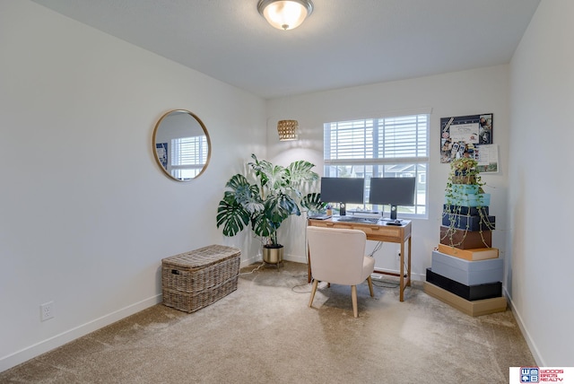 carpeted home office with baseboards