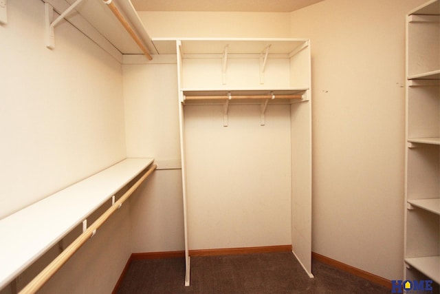 spacious closet featuring dark colored carpet