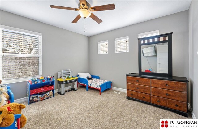 10211 Rosewater Pkwy, Bennington, NE 68007 - carpeted bedroom with ceiling fan and baseboards