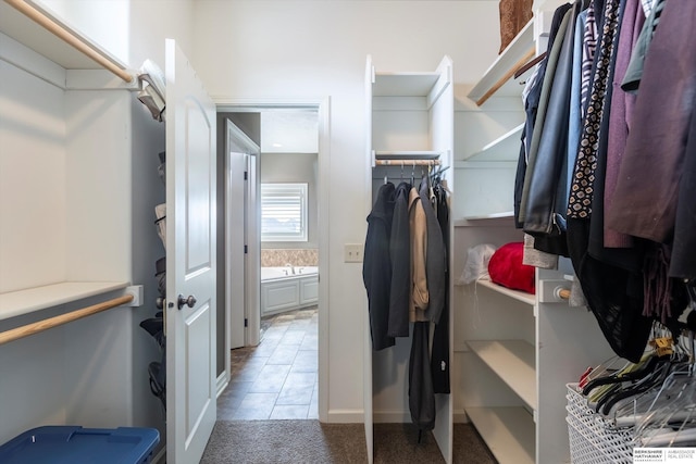 spacious closet with carpet flooring