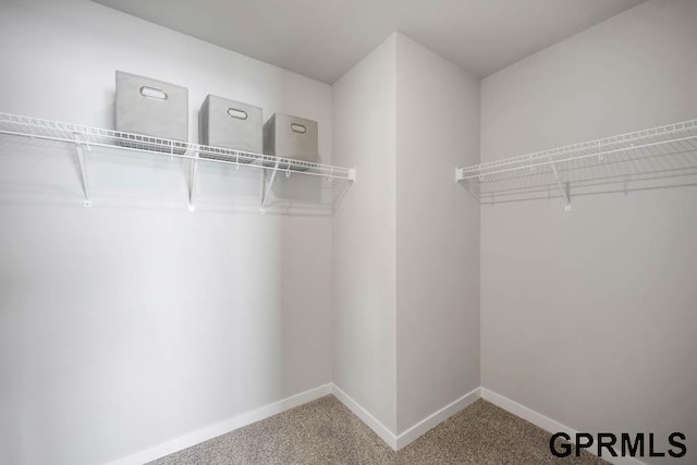 walk in closet featuring carpet flooring