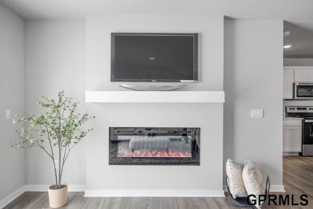 room details featuring appliances with stainless steel finishes, a glass covered fireplace, baseboards, and wood finished floors