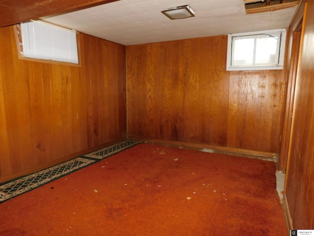 basement with wooden walls