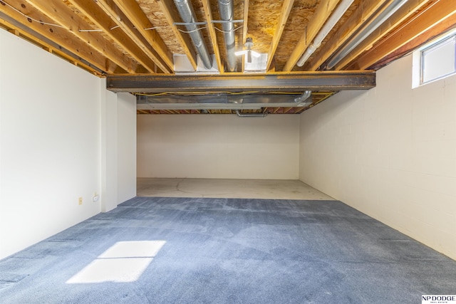 basement featuring carpet floors