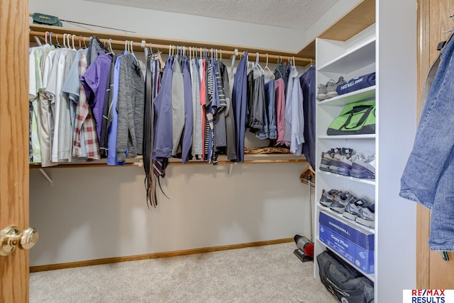 walk in closet featuring carpet flooring