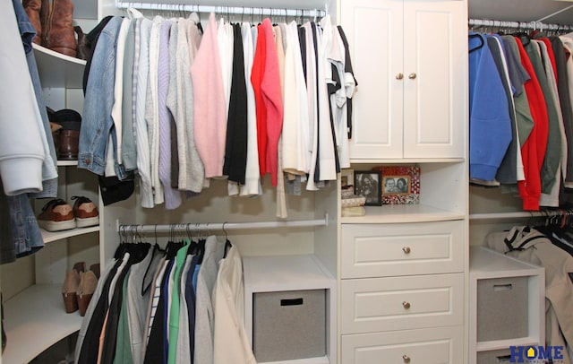 view of walk in closet