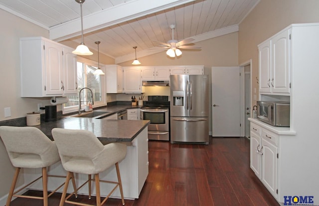 kitchen with under cabinet range hood, a peninsula, a sink, vaulted ceiling, and appliances with stainless steel finishes