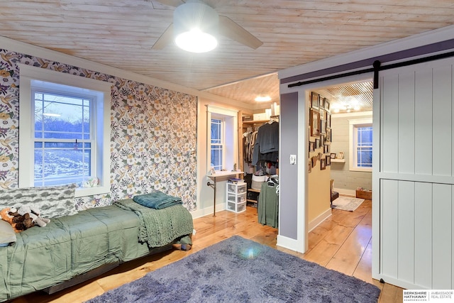 bedroom with wooden ceiling, a barn door, a spacious closet, and wood finished floors