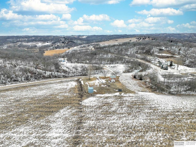 view of snowy aerial view