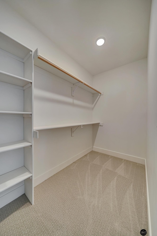 spacious closet with carpet