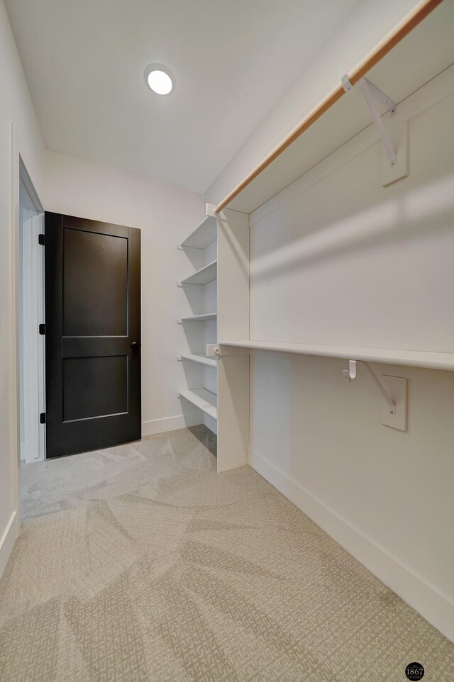 spacious closet featuring light carpet