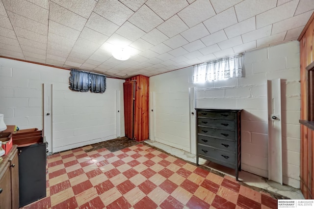 basement with light floors