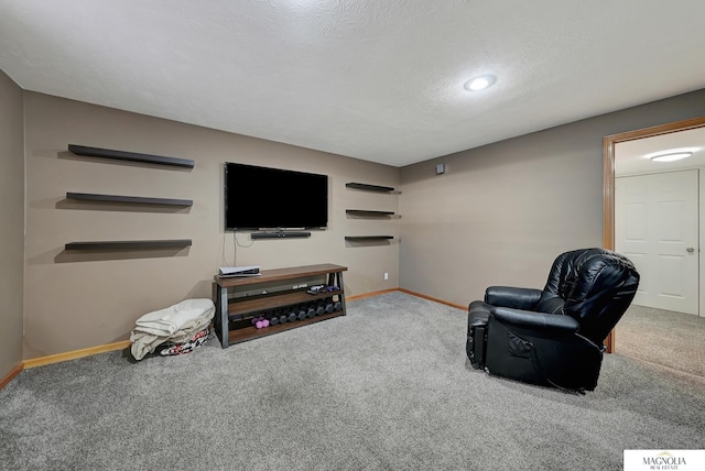 carpeted living room with a textured ceiling and baseboards