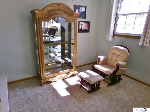 living area with carpet flooring and baseboards