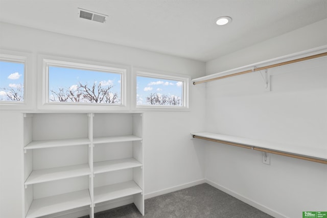 walk in closet featuring carpet flooring and visible vents