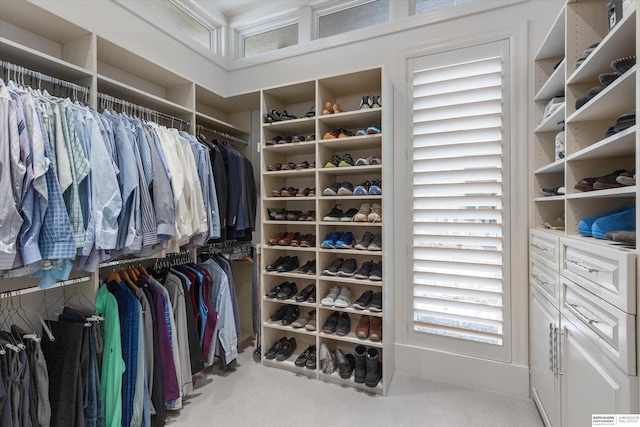 walk in closet featuring carpet