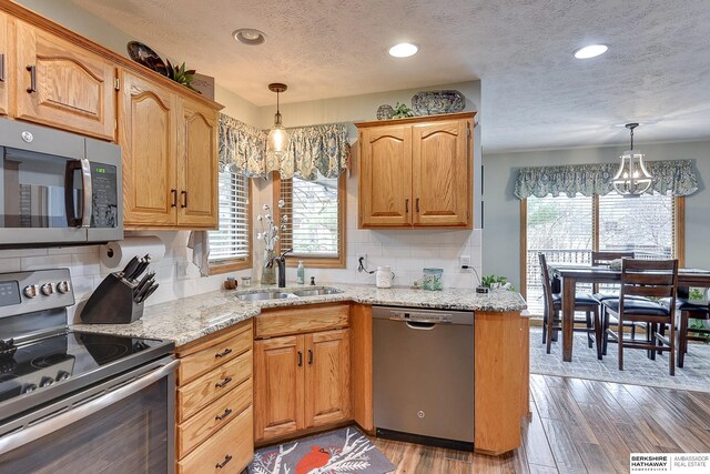 kitchen with light wood finished floors, a healthy amount of sunlight, stainless steel appliances, and a sink