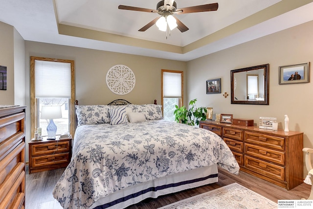 bedroom with multiple windows, a raised ceiling, and wood finished floors