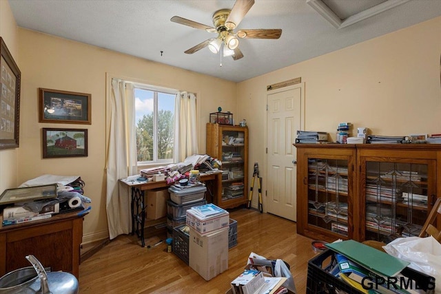 office area with baseboards, light wood-type flooring, and a ceiling fan