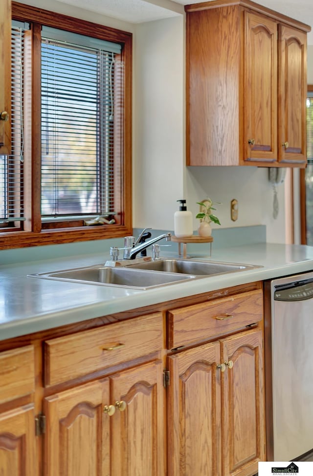 kitchen featuring a sink, light countertops, and stainless steel dishwasher