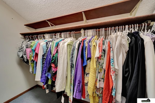 view of closet