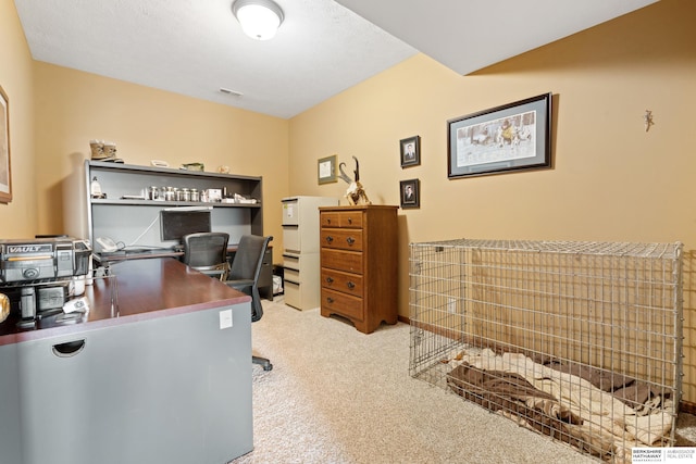 carpeted office featuring visible vents