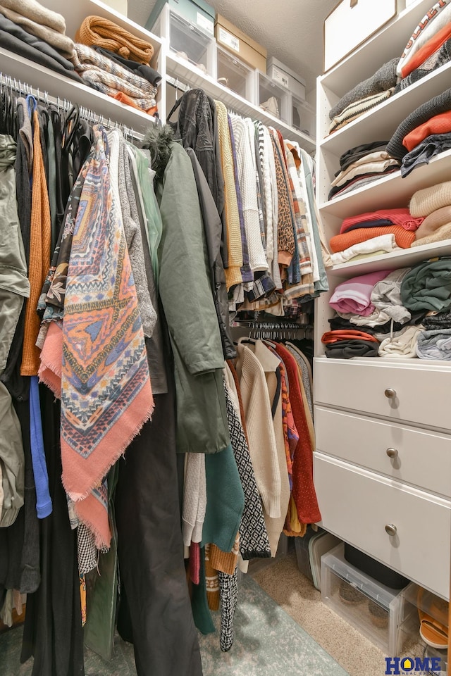 view of spacious closet