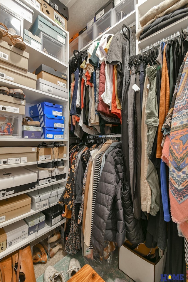 view of spacious closet