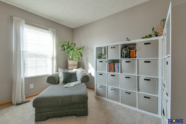 living area with a textured ceiling, carpet, visible vents, and baseboards