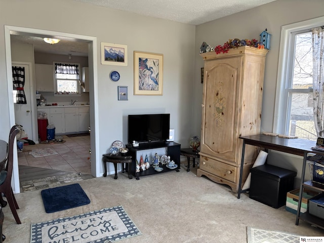 carpeted living area featuring tile patterned floors and a textured ceiling