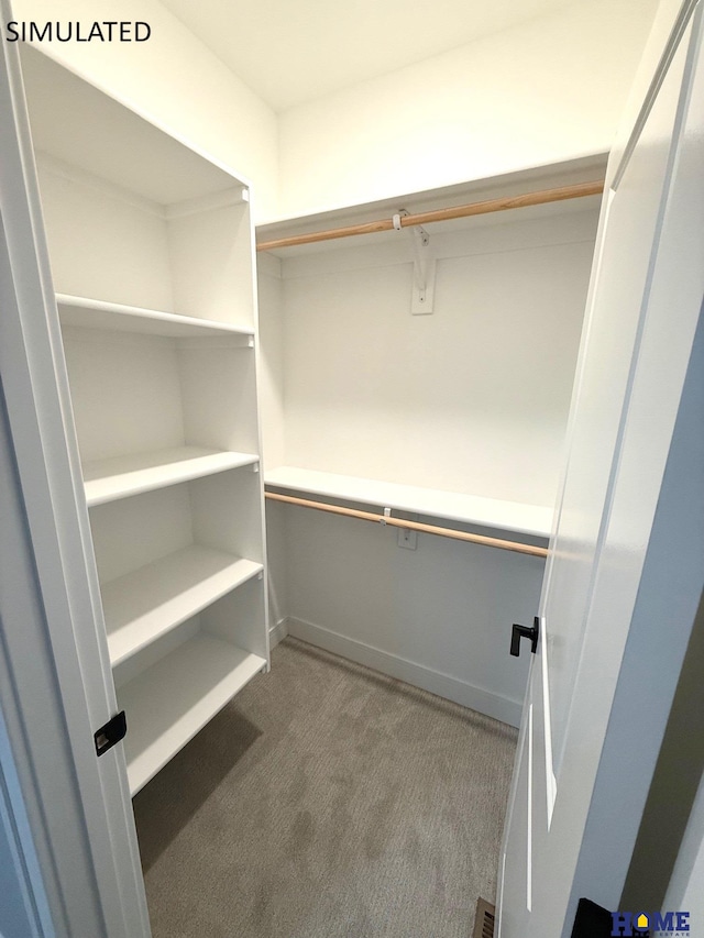 walk in closet with carpet floors