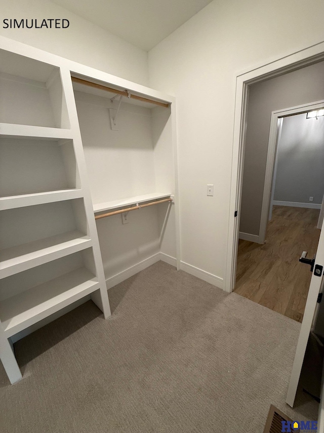 spacious closet featuring carpet flooring and visible vents