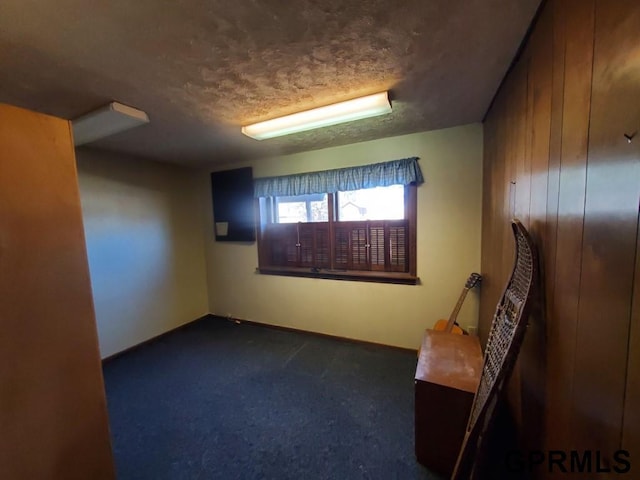 below grade area featuring dark colored carpet and a textured ceiling