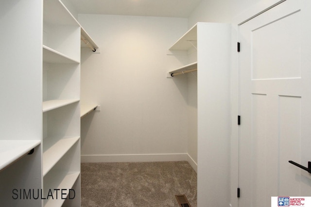 spacious closet with visible vents and carpet floors