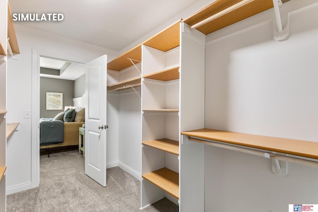 spacious closet with light carpet