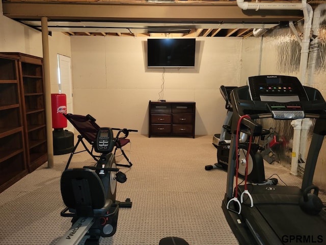 workout area with carpet flooring