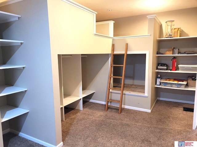 interior space featuring carpet floors