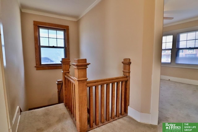 stairs featuring baseboards, carpet floors, and crown molding