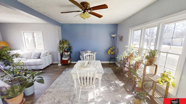 living room with baseboards, a textured ceiling, wood finished floors, and a ceiling fan