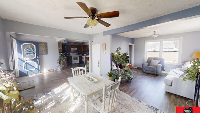 dining area featuring a ceiling fan, wood finished floors, baseboards, and a textured ceiling